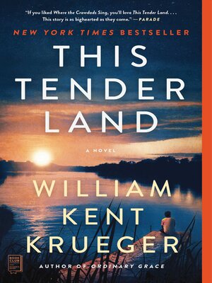 cover image of This Tender Land